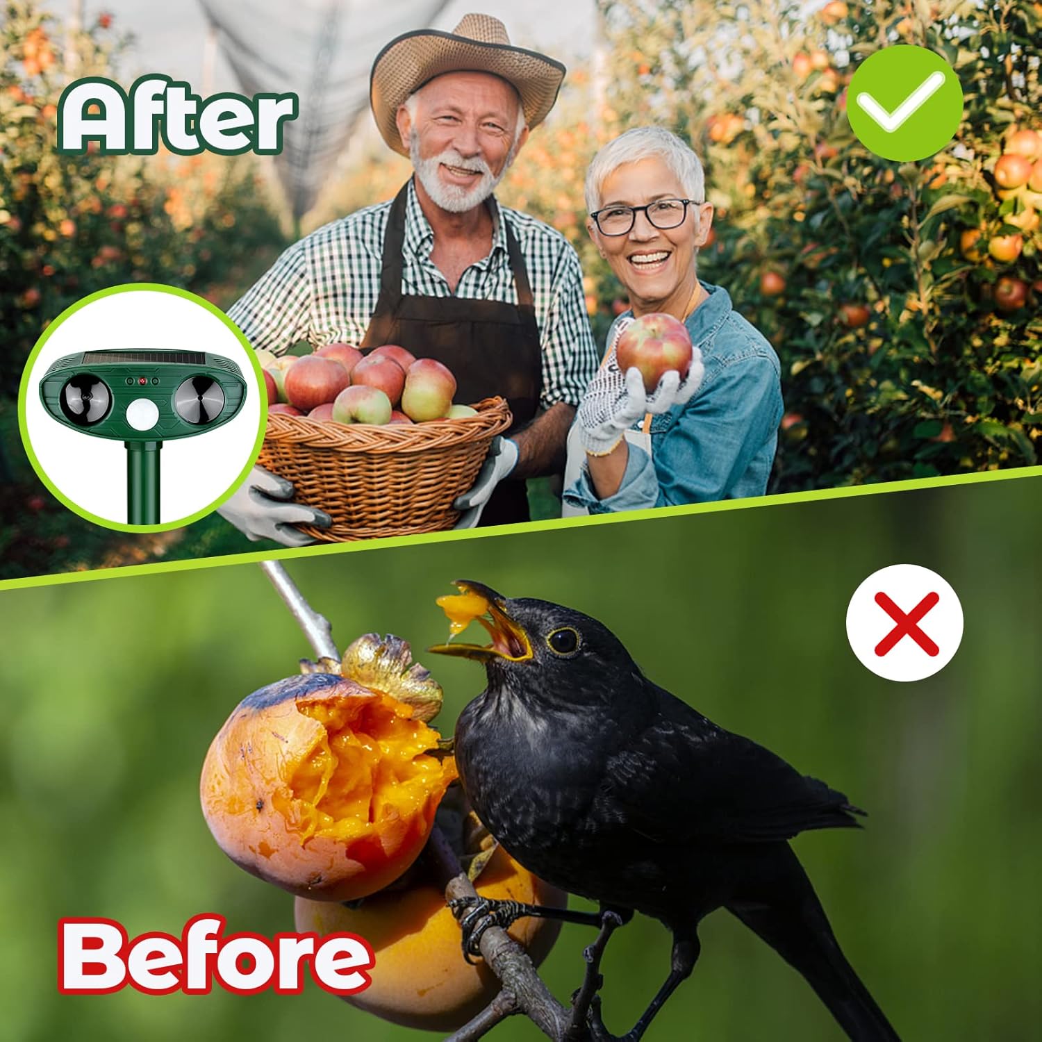 🔥Solar Animal Terminator⚡ 360° Motion-Activated Defense✨ 12-in-1 Pest Force🌿 Waterproof & Night Vision🌙 TikTok's #1 Garden Guard 🔥Solar Animal Terminator⚡ 360° Motion-Activated Defense✨ 12-in-1 Pest Force🌿 Waterproof & Night Vision🌙 TikTok's #1 Garden Guard